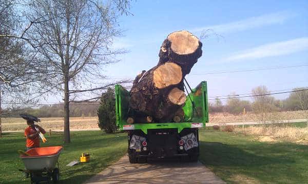 Vehicle hauling tree stumps away.