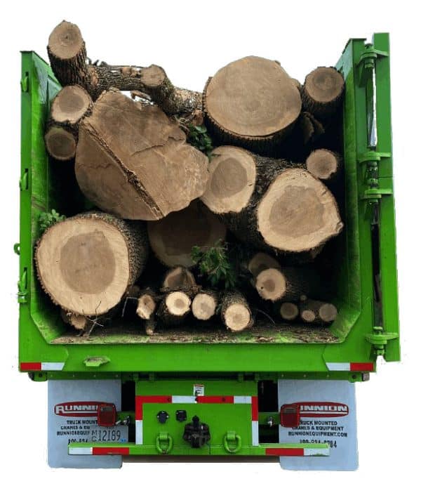Truck showing tree branches and trunks in its bed.