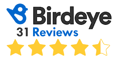 Birdeye reviews 2023